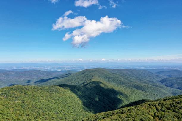 Reddish Knob, West Virginia View of mountains around Reddish Knob, Allegheny Mountains, West Virginia george washington national forest stock pictures, royalty-free photos & images