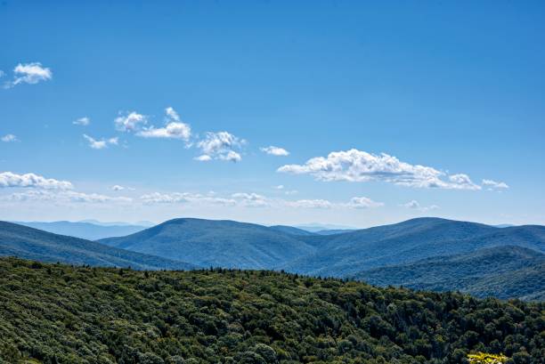 Reddish Knob, West Virginia View of mountains around Reddish Knob, Allegheny Mountains, West Virginia george washington national forest stock pictures, royalty-free photos & images