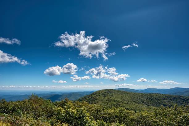 Reddish Knob, West Virginia View of mountains around Reddish Knob, Allegheny Mountains, West Virginia george washington national forest stock pictures, royalty-free photos & images