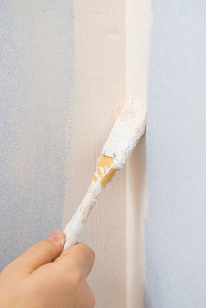 istock Person applying paint on wall 1298358864