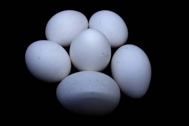 istock Eating eggs in cold weather is good for health 1298360574
