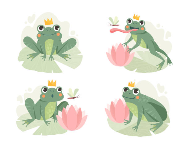 Frog stalking and hunting A set of images of a frog stalking and hunting a flying dragonfly. Set of flat cartoon vector illustrations isolated on white background frog illustrations stock illustrations