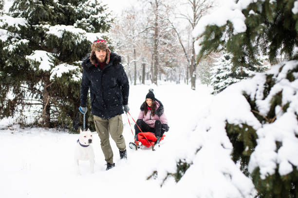 istock A beautiful young couple sledding with their dog 1298361636