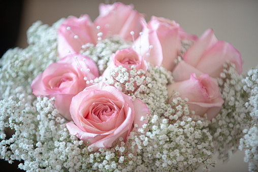Soft and Beautiful Pink Roses and White Babies Breath Bouquets