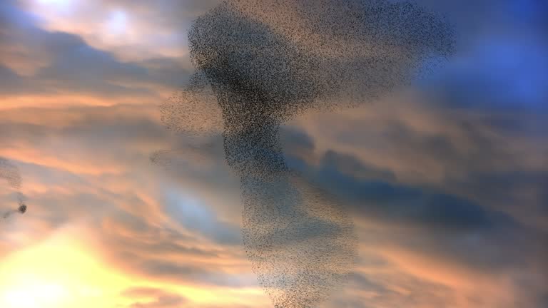 Shaping the sky