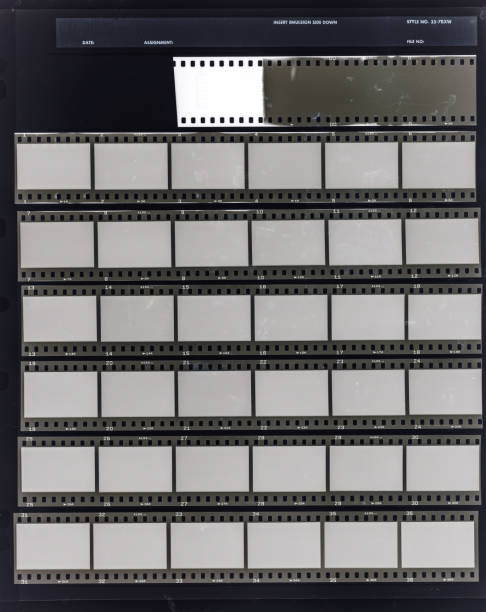 seven long 35mm black and white film strips on dark background behind protection foil with empty frames. stock photo
