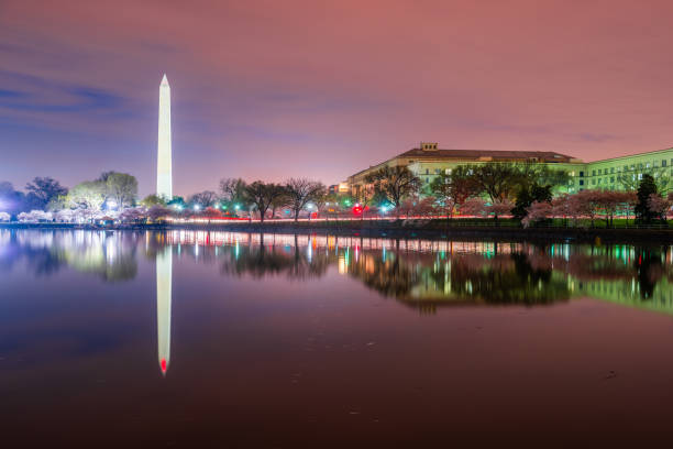 istock Washington DC, USA at the tidal basin with Washington Monument 1298365910