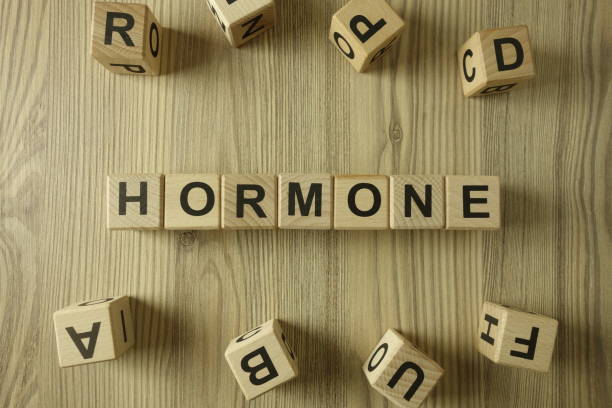 istock Word hormone from wooden blocks 1298367630