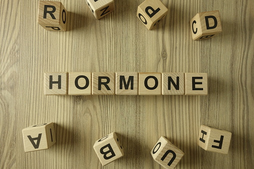 Word hormone from wooden blocks, healthcare concept