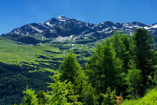 Passo Gavia, Sondrio province, Lombardy, Italy: landscape along the mountain pass at summer