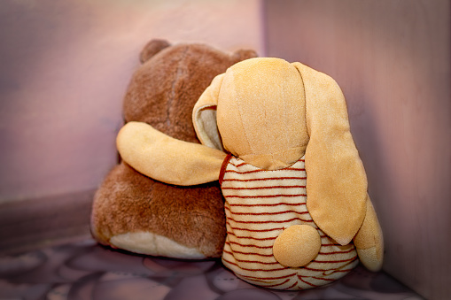 The teddy bear and bunny are sitting in the corner, with their backs to us. Cruel treatment of children. Selective focus
