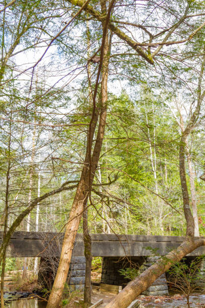 istock Great Smoky Mountain Valley Landscape View 1298379868
