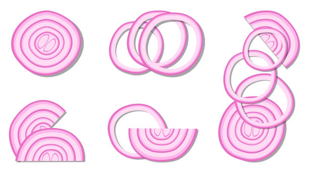 ilustrações de stock, clip art, desenhos animados e ícones de vector illustration close up top view flat lay food style of fresh ingredient sliced. red onion, pink,ring, cut - spanish onion