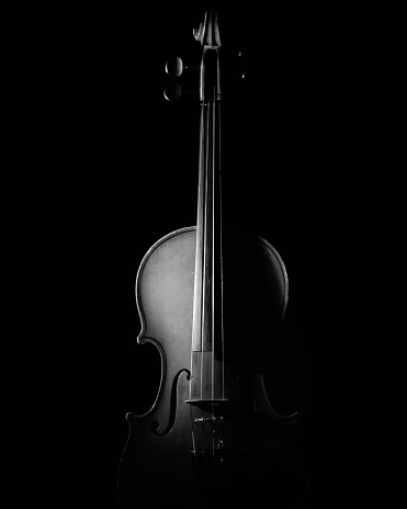 Violin in black and white