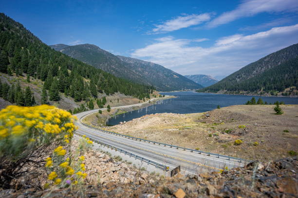 istock Quake Lake Montana 1298385522