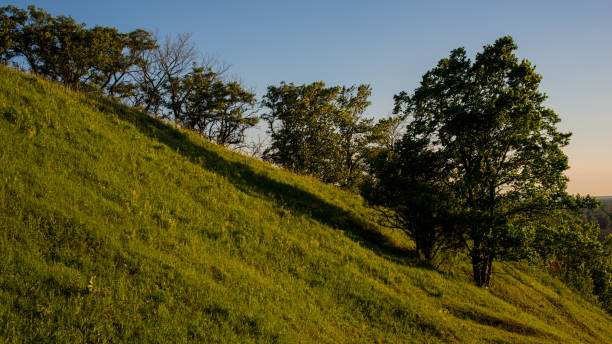 istock Deciduous trees on the hillside and a panorama of forests on the horizon. 1298387104