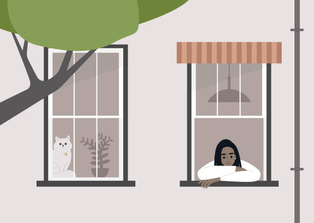 illustrations, cliparts, dessins animés et icônes de jeune caractère noir femelle restant à la maison une regardant par la fenêtre, une scène de verrouillage - silhouette animal black domestic cat