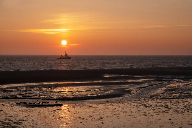 Panoramic image of the coastal landscape of Amrum at sunrise, North Sea, Germany