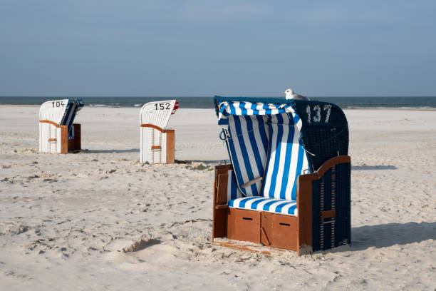 istock Amrum, North Frisia, Germany 1298390837