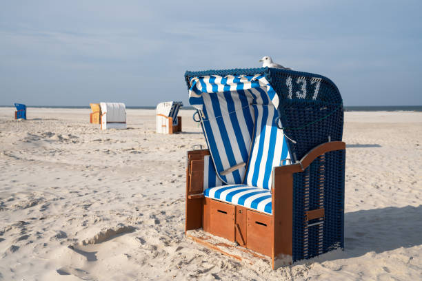 istock Amrum, North Frisia, Germany 1298391002