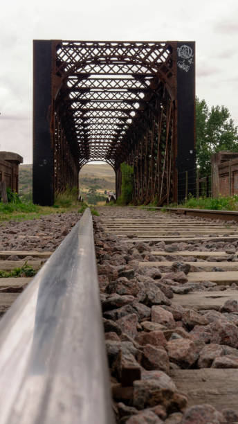 istock Old railway bridge located in Sierra de la Ventana 1298391546