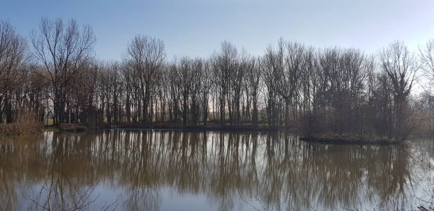 istock Sunlit winter reflections in an English lake 1298391668