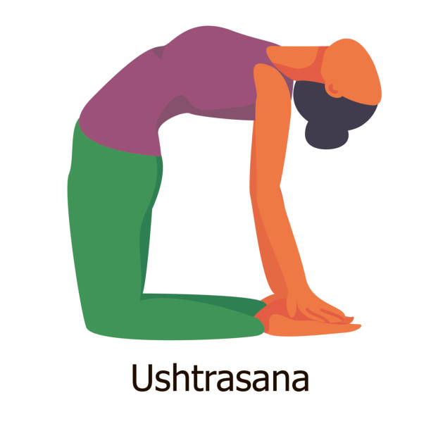 a dark-skinned girl performs the yoga pose "Ushtrasana" a dark-skinned girl performs the yoga pose "Ushtrasana" (camel pose). yoga tutorial. fitness, sports. realistic figure. flat. isolated. instruction. pose for beginners ustrasana stock illustrations