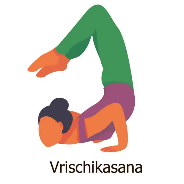 Vector illustration of a dark-skinned girl performs the yoga pose 