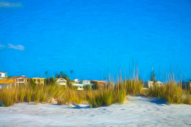 Protected natural are on the South West Florida coast.