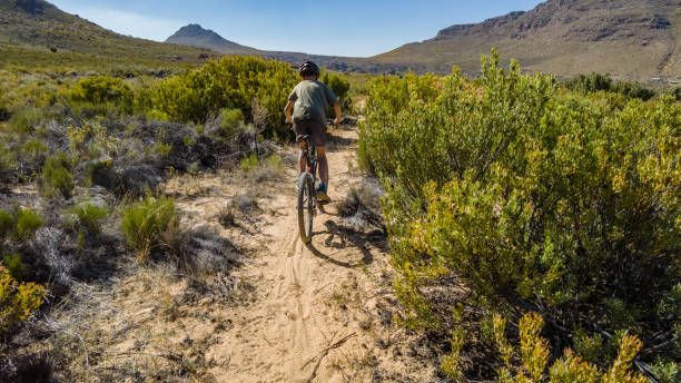 Rear view boy cycling with a mountain bike on a sandy single track between the fynbos in the mountains Rear view boy cycling with a mountain bike on a sandy single track between the fynbos in the mountains cederberg mountains photos stock pictures, royalty-free photos & images