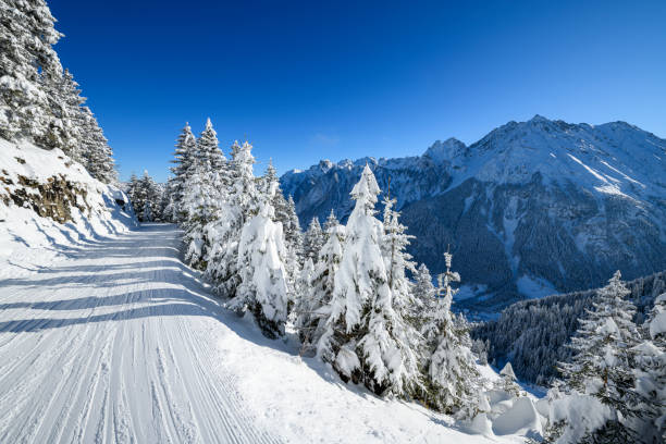 istock Snowcapped trees in ski resort 1298397910
