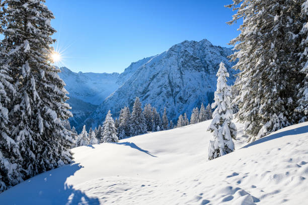 istock Snowcapped trees in ski resort at winter morning 1298397914
