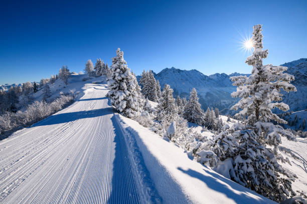 istock Snowcapped trees in ski resort 1298397916