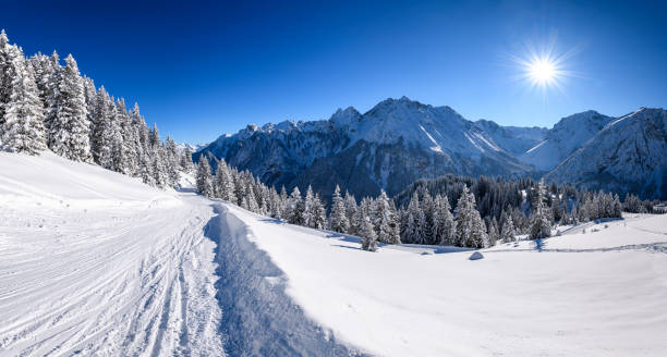 istock Snowcapped trees in ski resort 1298397917