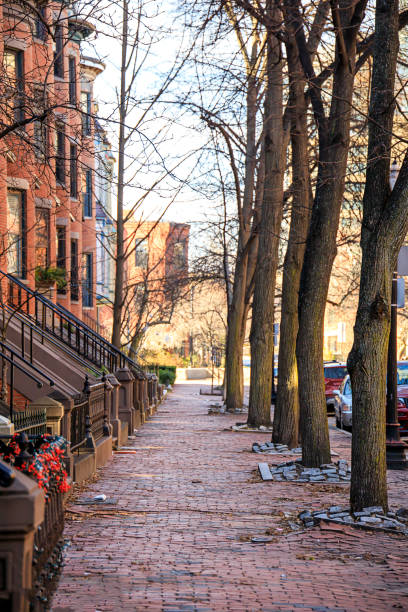 istock Old brick cobblestone sidewalk in the winter 1298398738