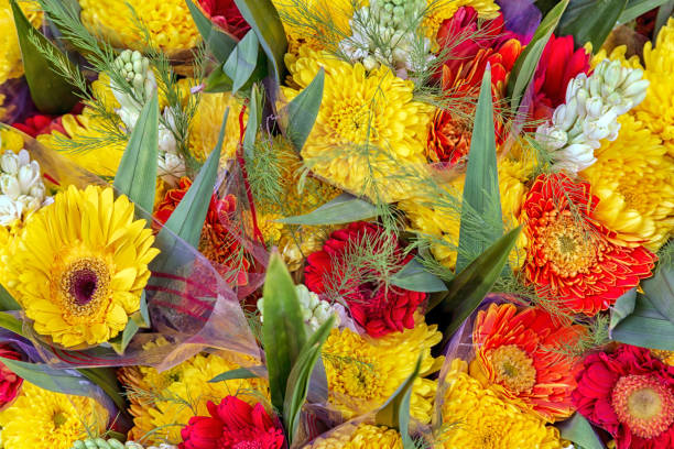 istock Flower bouquet gerbera bunch background nature valentine 1298398775