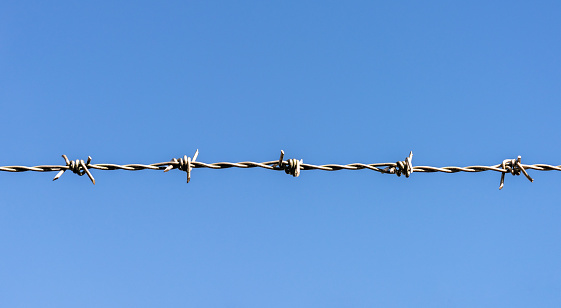 A sparse close-up of a single line of barbed wire against a clear blue sky.