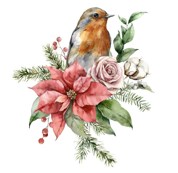 aquarell weihnachtsstrauß mit robin redbreast, poinsettia, rosen und tannenzweige. hand bemalt urlaub karte mit blumen isoliert auf weißem hintergrund. illustration für design, druck, hintergrund. - rotkehlchen stock-grafiken, -clipart, -cartoons und -symbole