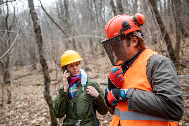 istock Lumberjack and Female Forest Manager Working Together 1298404510