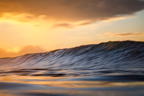 istock Cresting wave breaking in the ocean against a golden sunny morning sky 1298404848