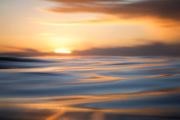 istock Sun rising over the ocean with textured golden water surface 1298405168