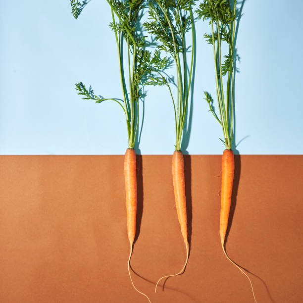 istock Vegetable Concept Carrots on Colored Vibrant Background 1298405176