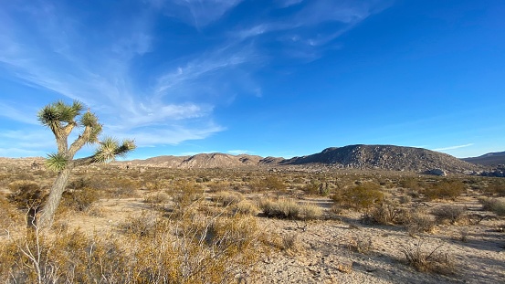 Wide Angle of the Desert