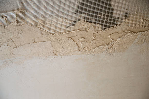 istock The texture of fresh plaster on the wall. 1298407889