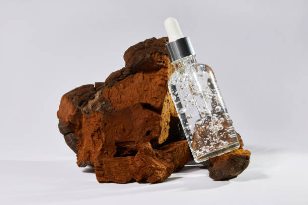 天然のチャガキノコのガラス瓶にアンチエイジング血清(イノノタスオブリクウス) - fungus science bottle glass ストックフォトと画像
