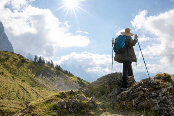 Hiker with hiking poles and hat, hikes in meadow She looks off to distant Swiss Alps Grindlewald stock pictures, royalty-free photos & images