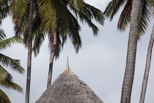 Coconut palm tree with detail of small hut, exotic holidays background, summer holiday, tropical foliage and palm tree. Holidays background.