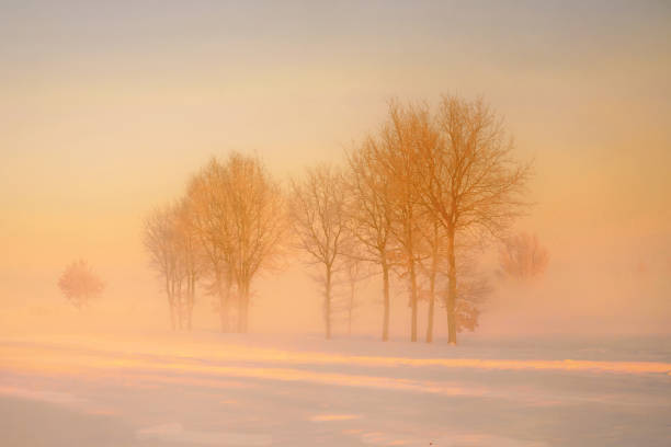 istock Winter rural landscape, Poland around Malbork 1298416139