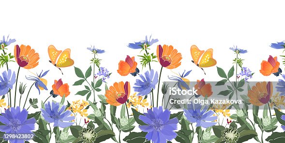 istock Vector floral seamless border. Summer flowers, green leaves. 1298423802
