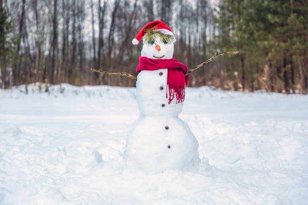 istock funny christmas snowman 1298425142